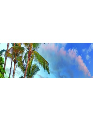 Glas Küchenrückwand 6 mm ESG Motive KRWM-0534