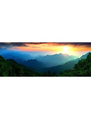 Glas Küchenrückwand 6 mm ESG Motive KRWM-0547