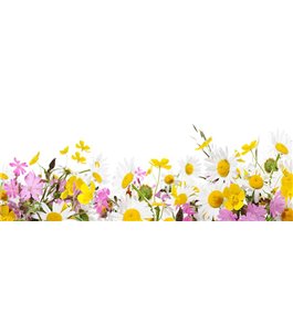 Glas Küchenrückwand 6 mm ESG Motive KRWM-0551