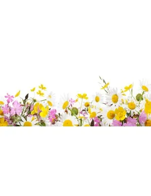 Glas Küchenrückwand 6 mm ESG Motive KRWM-0551