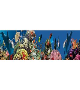 Glas Küchenrückwand 6 mm ESG Motive KRWM-0588
