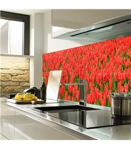 Glas Küchenrückwand 6 mm ESG Motive KRWM-0595