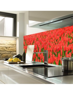 Glas Küchenrückwand 6 mm ESG Motive KRWM-0595