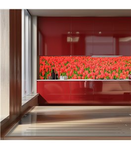 Glas Küchenrückwand 6 mm ESG Motive KRWM-0595
