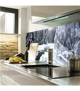 Glas Küchenrückwand 6 mm ESG Motive KRWM-0601