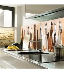 Glas Küchenrückwand 6 mm ESG Motive KRWM-0605