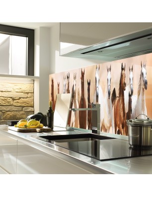Glas Küchenrückwand 6 mm ESG Motive KRWM-0605
