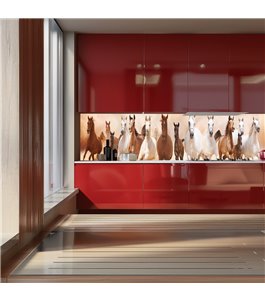 Glas Küchenrückwand 6 mm ESG Motive KRWM-0605