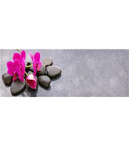 Glas Küchenrückwand 6 mm ESG Motive KRWM-0610