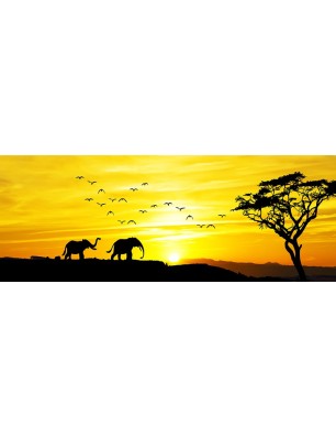 Glas Küchenrückwand 6 mm ESG Motive KRWM-0616