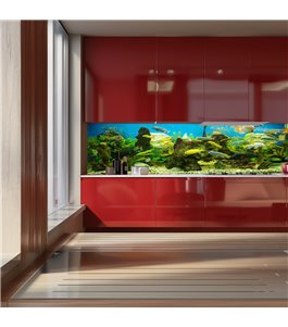 Glas Küchenrückwand 6 mm ESG Motive KRWM-0624