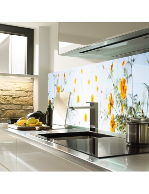 Glas Küchenrückwand 6 mm ESG Motive KRWM-0629