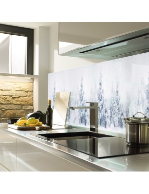 Glas Küchenrückwand 6 mm ESG Motive KRWM-0631