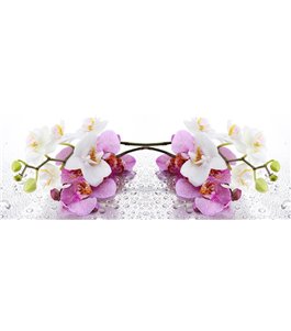 Glas Küchenrückwand 6 mm ESG Motive KRWM-0638