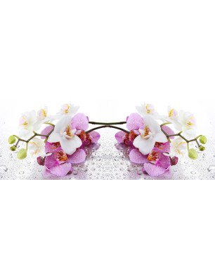 Glas Küchenrückwand 6 mm ESG Motive KRWM-0638