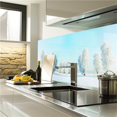 Glas Küchenrückwand 6 mm ESG Motive KRWM-0752