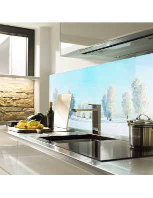 Glas Küchenrückwand 6 mm ESG Motive KRWM-0752