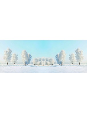 Glas Küchenrückwand 6 mm ESG Motive KRWM-0752