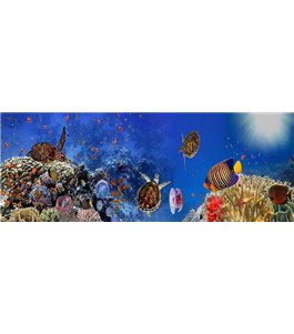Glas Küchenrückwand 6 mm ESG Motive KRWM-0761