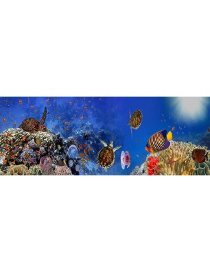 Glas Küchenrückwand 6 mm ESG Motive KRWM-0761