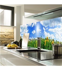 Glas Küchenrückwand 6 mm ESG Motive KRWM-0762
