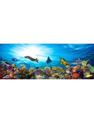 Glas Küchenrückwand 6 mm ESG Motive KRWM-0770