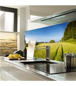 Glas Küchenrückwand 6 mm ESG Motive KRWM-0788
