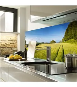 Glas Küchenrückwand 6 mm ESG Motive KRWM-0788