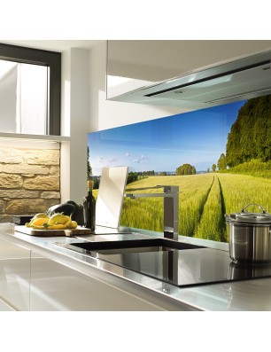 Glas Küchenrückwand 6 mm ESG Motive KRWM-0788