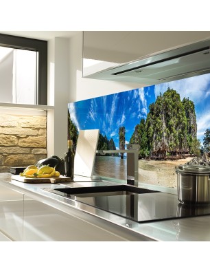 Glas Küchenrückwand 6 mm ESG Motive KRWM-0798