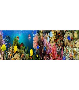 Glas Küchenrückwand 6 mm ESG Motive KRWM-0808