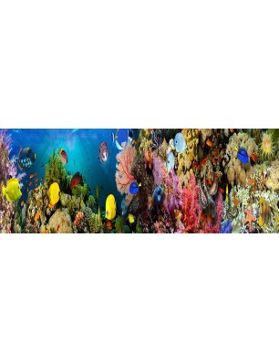 Glas Küchenrückwand 6 mm ESG Motive KRWM-0808