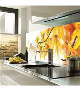 Glas Küchenrückwand 6 mm ESG Motive KRWM-0815