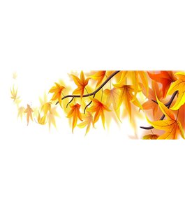 Glas Küchenrückwand 6 mm ESG Motive KRWM-0815