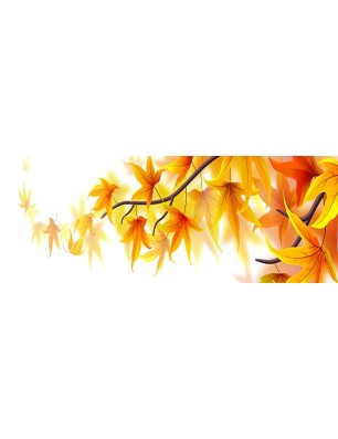 Glas Küchenrückwand 6 mm ESG Motive KRWM-0815