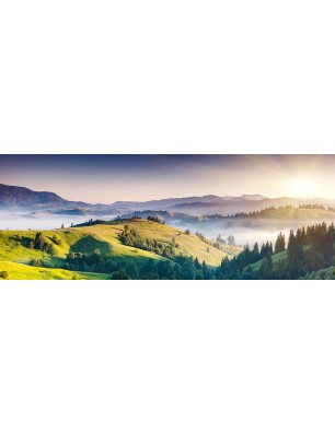 Glas Küchenrückwand 6 mm ESG Motive KRWM-0818