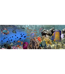 Glas Küchenrückwand 6 mm ESG Motive KRWM-0842