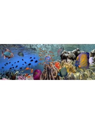 Glas Küchenrückwand 6 mm ESG Motive KRWM-0842