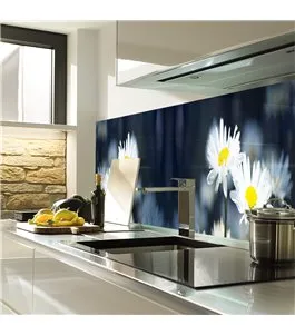 Glas Küchenrückwand 6 mm ESG Motive KRWM-0846