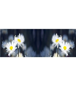 Glas Küchenrückwand 6 mm ESG Motive KRWM-0846