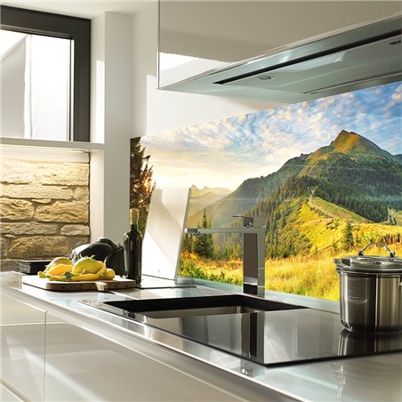 Glas Küchenrückwand 6 mm ESG Motive KRWM-0869