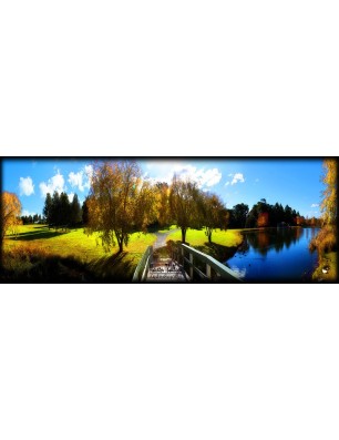 Glas Küchenrückwand 6 mm ESG Motive KRWM-0872