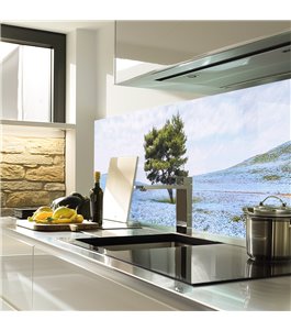 Glas Küchenrückwand 6 mm ESG Motive KRWM-0876