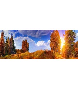 Glas Küchenrückwand 6 mm ESG Motive KRWM-0883