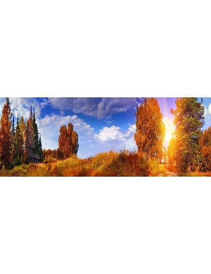 Glas Küchenrückwand 6 mm ESG Motive KRWM-0883