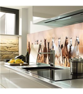 Glas Küchenrückwand 6 mm ESG Motive KRWM-0885