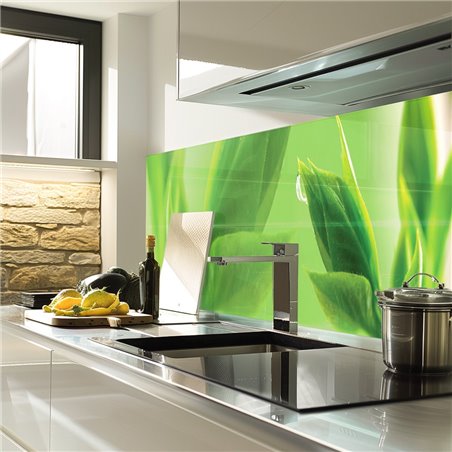 Glas Küchenrückwand 6 mm ESG Motive KRWM-0895