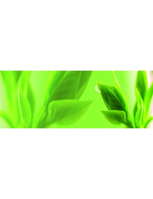 Glas Küchenrückwand 6 mm ESG Motive KRWM-0895