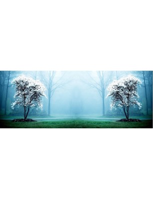 Glas Küchenrückwand 6 mm ESG Motive KRWM-0899