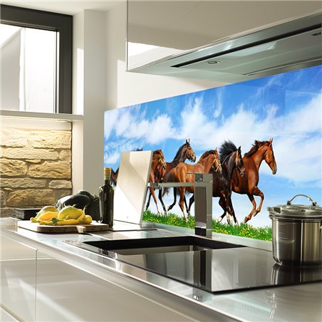 Glas Küchenrückwand 6 mm ESG Motive KRWM-0900